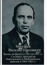 Мизгарев Василий Павлович